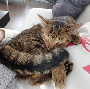 Meet your Posher, Heather